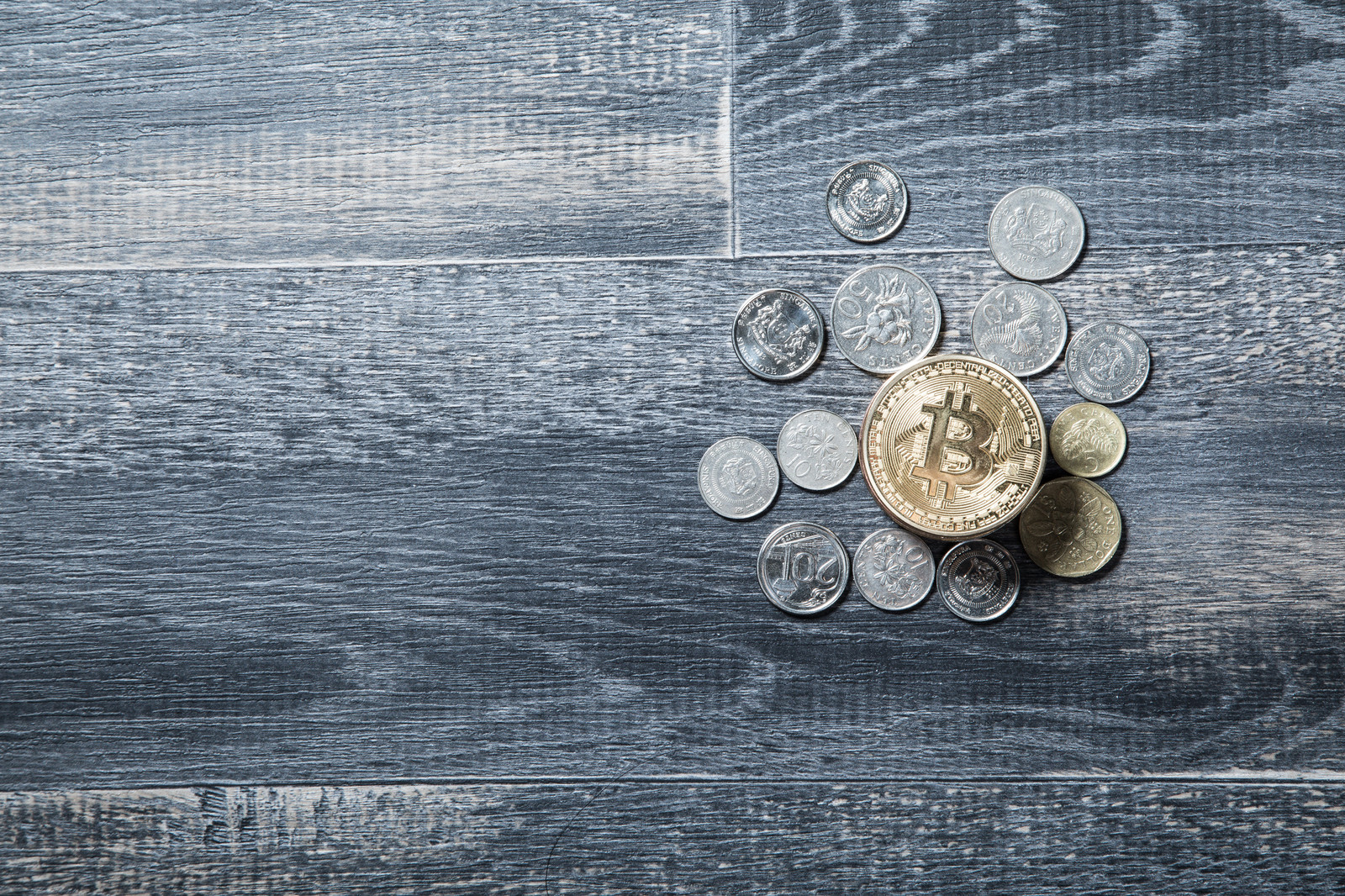 さるぼぼコイン