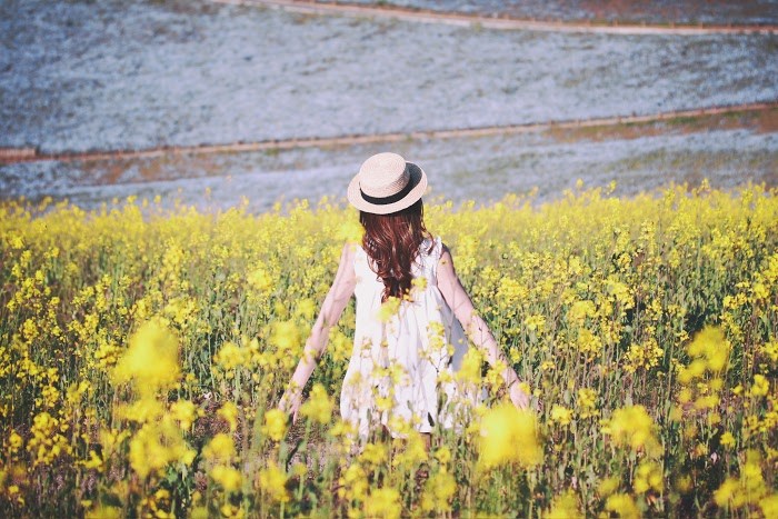 シェイプスインターナショナル