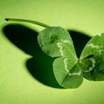 株式会社ブロードリーフ(プライム上場)の評判口コミは?最新の業績・採用情報