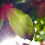 RSアセットマネジメント株式会社はアリ？ナシ？企業情報を分析してみた。