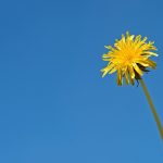 劉凱鵬(渡邊龍志)氏が社長を務める東亜産業の衛生用品について調べてみた