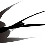 つばめエイジェンシーの採用ポイント!【総まとめ】