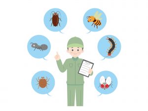 シロアリ対策シェアNo.1のアサンテ｜採用/研修/働く人の口コミ評判を紹介！