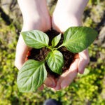 エフオンの口コミ評判は?サステナブル社会の実現に貢献する事業の特色や働きがいに迫る